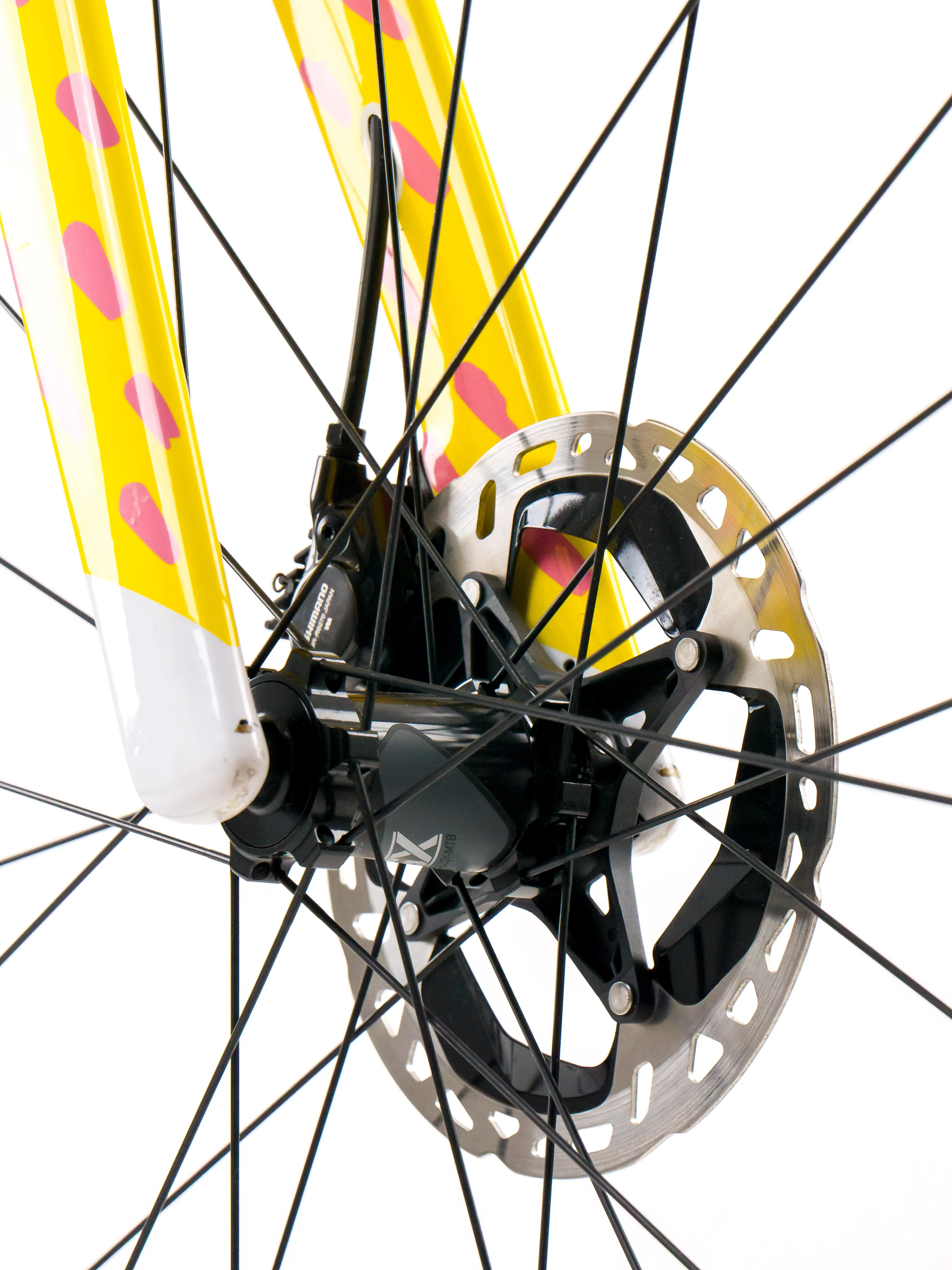 Cannondale SuperSix EVO LAB71 2024 Team EF Pro Cycling Team Labecki size 44 Shimano Dura-Ace R9270 Di2 2x12sp