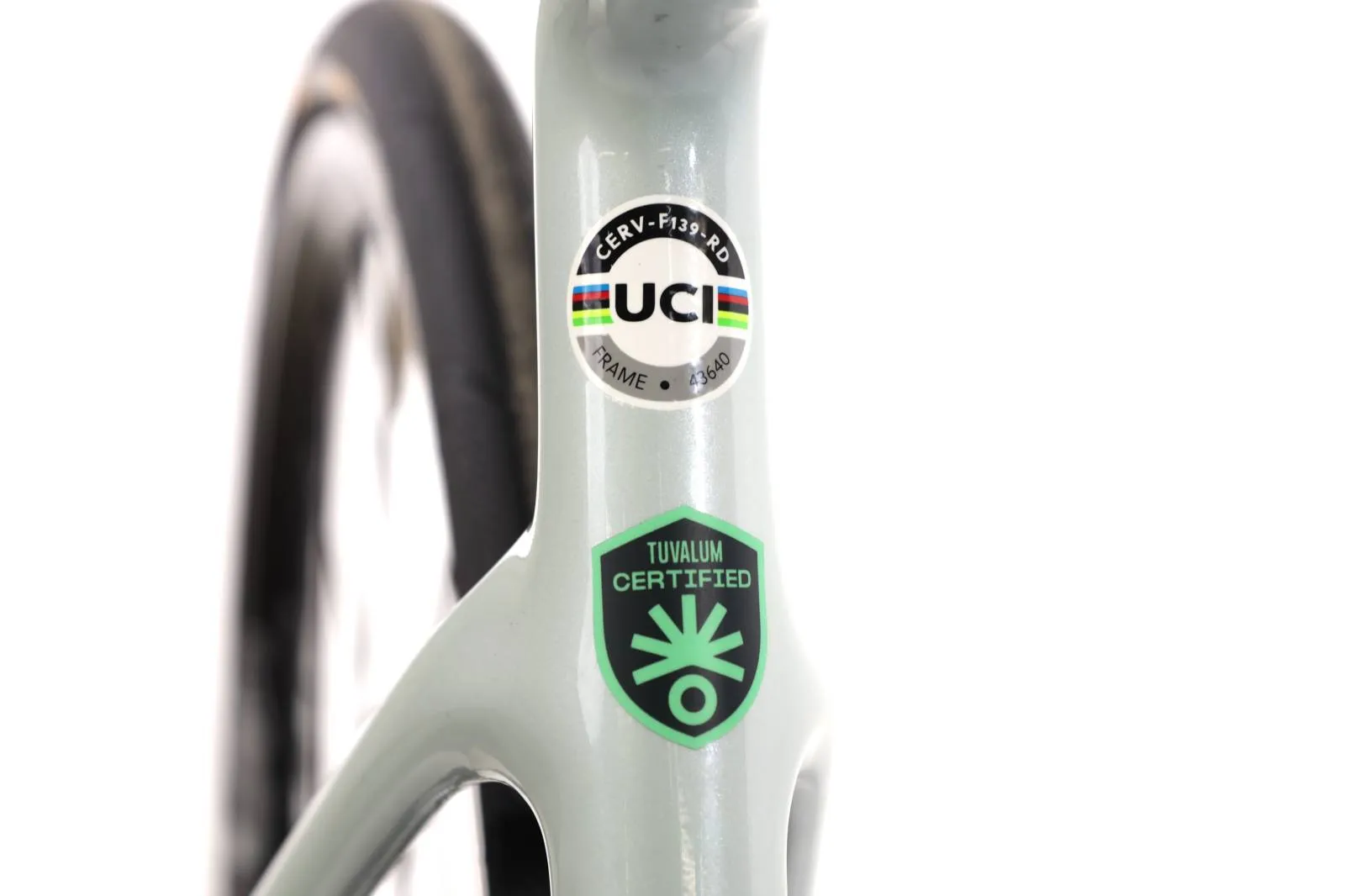 Cervlo Caledonia 2024