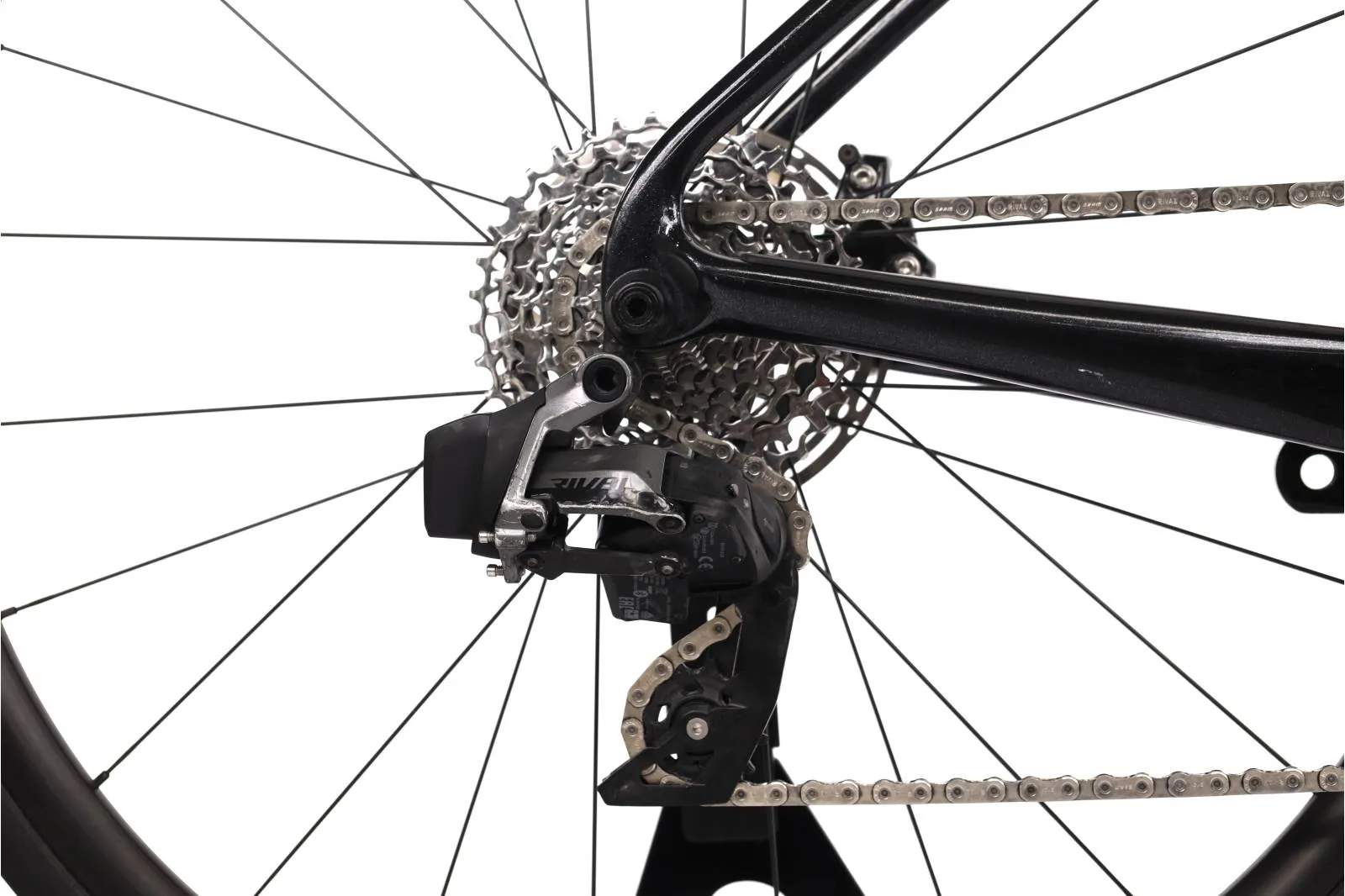 Cervlo Caledonia 2024