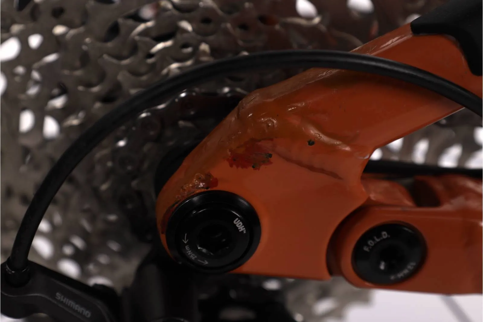Focus Jam 2023 - Shimano Deore XT 1x12sp - Race Face AR30 Offset