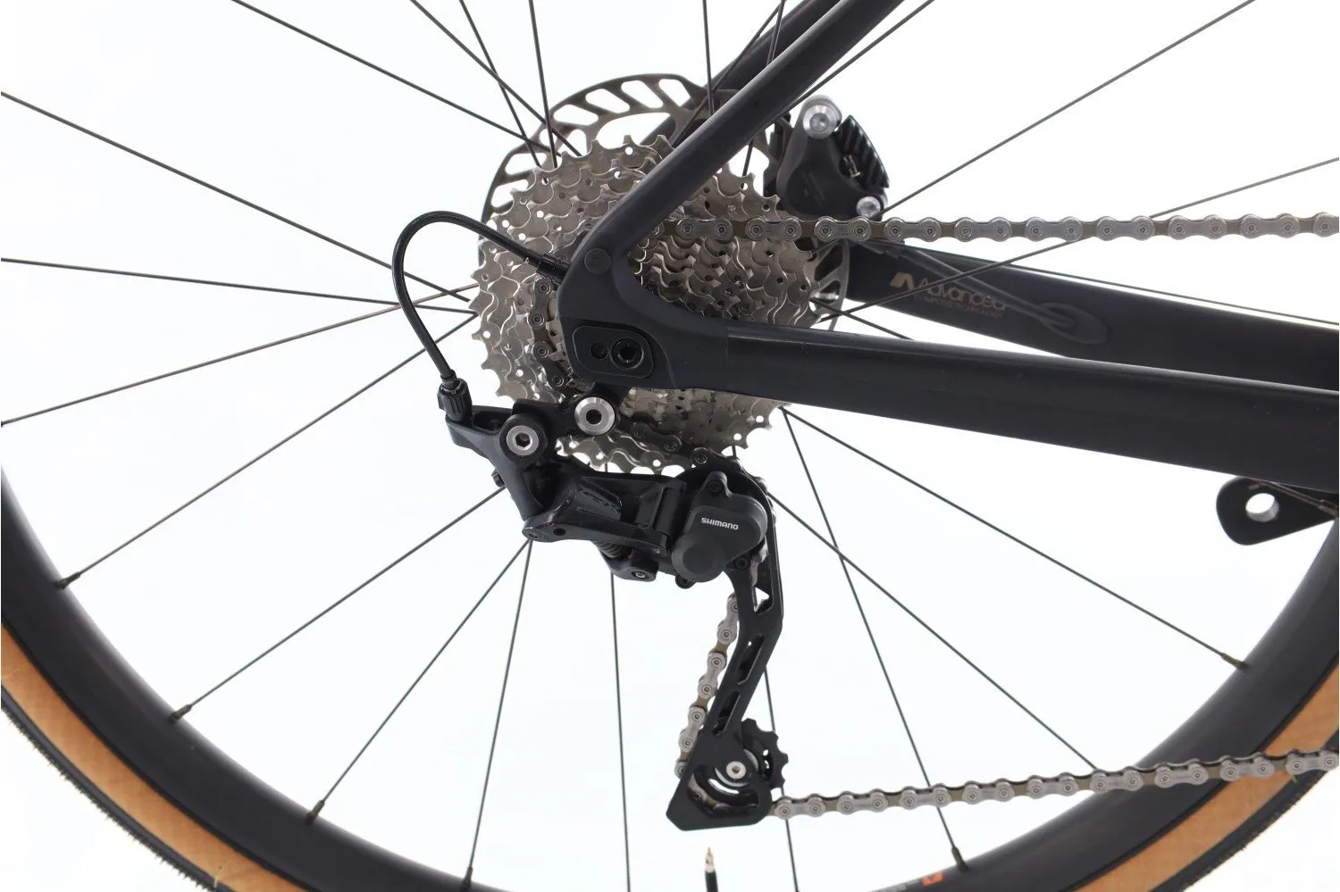 Giant Revolt Advanced 3 2023