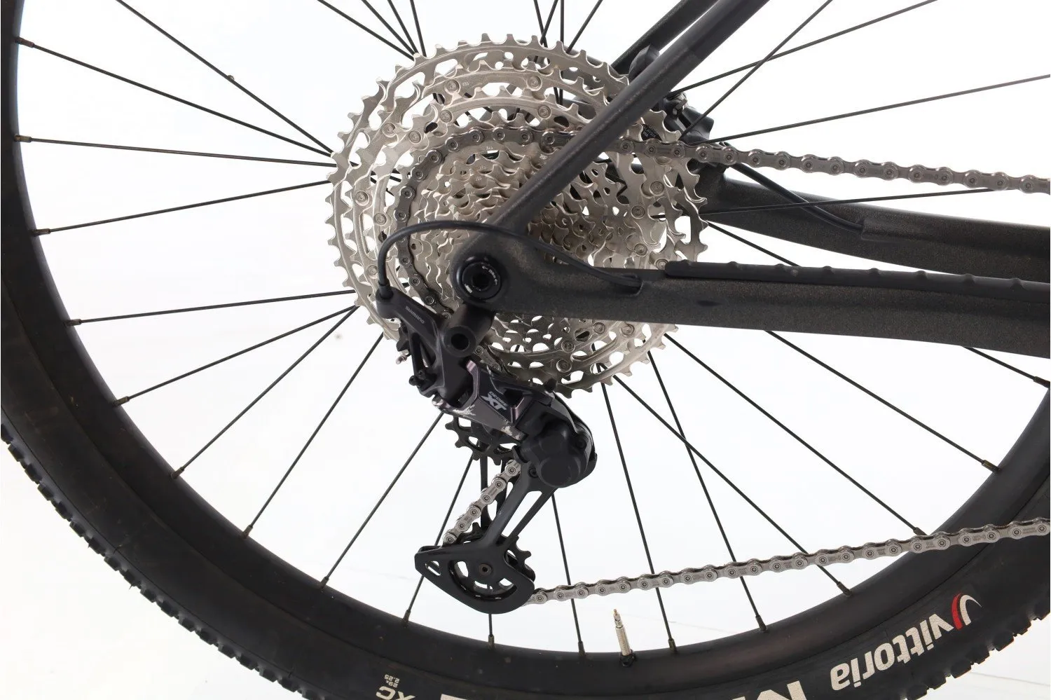 Orbea Alma M30 2024