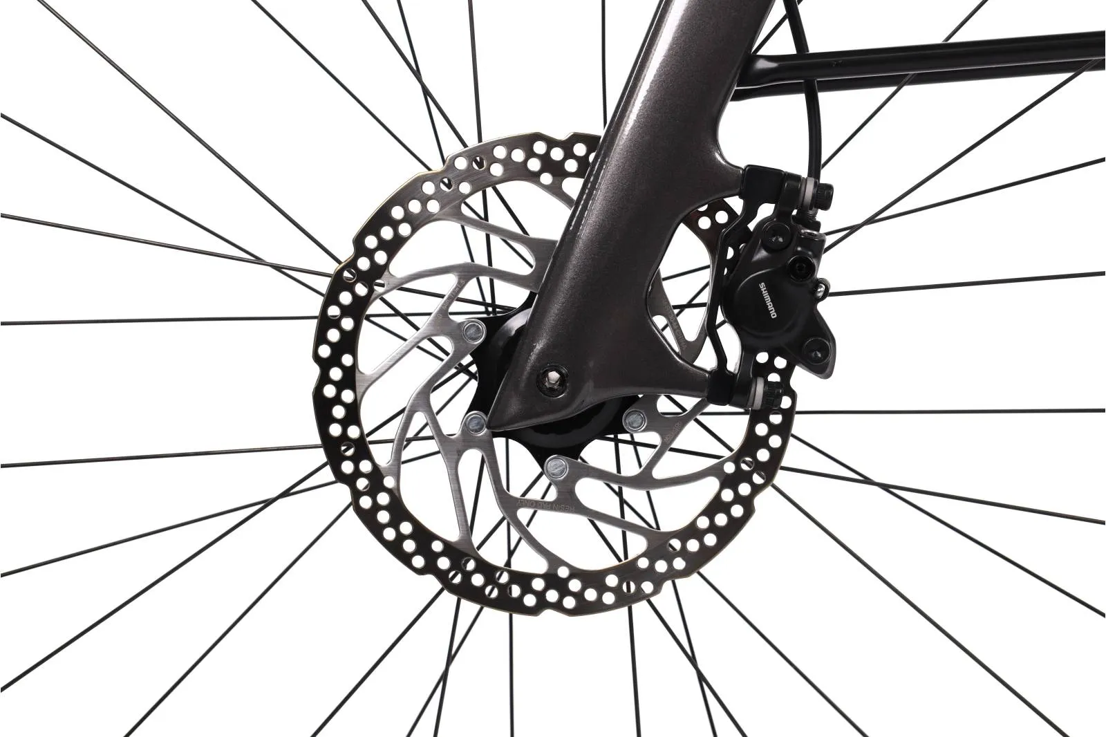 Orbea Diem 2024 - Shimano Cues 1x9sp - OC Bujes