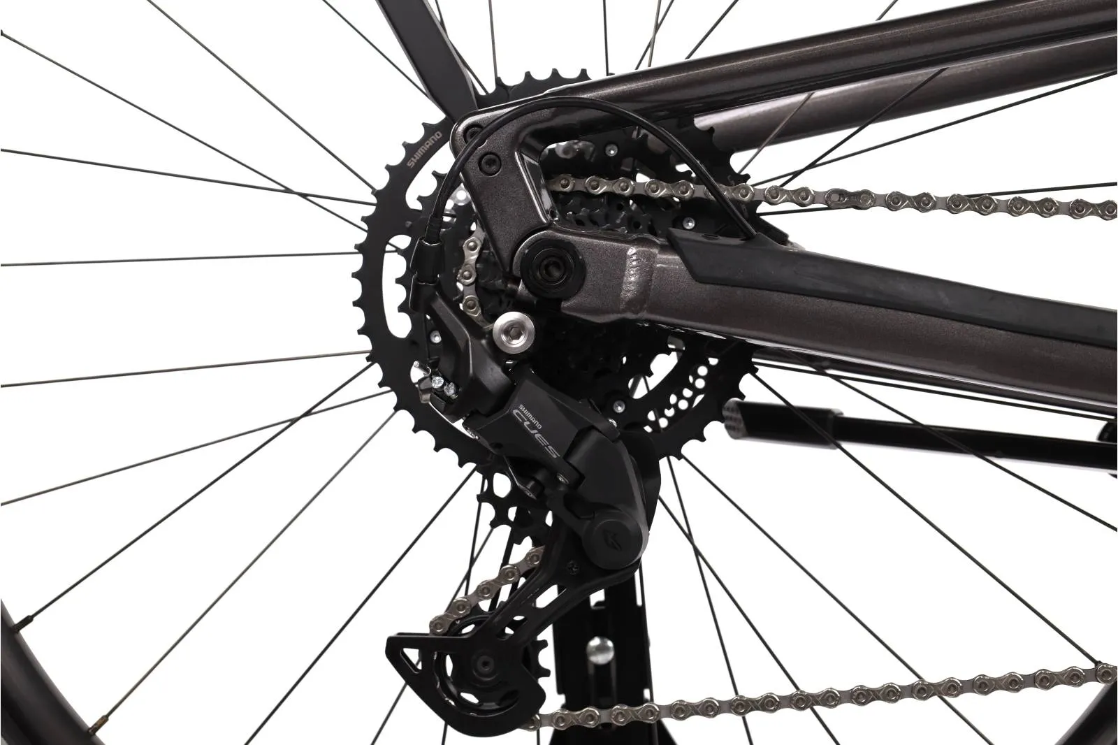 Orbea Diem 2024 - Shimano Cues 1x9sp - OC Bujes