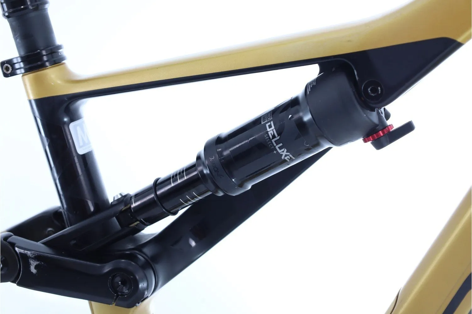 Orbea Rallon 2022