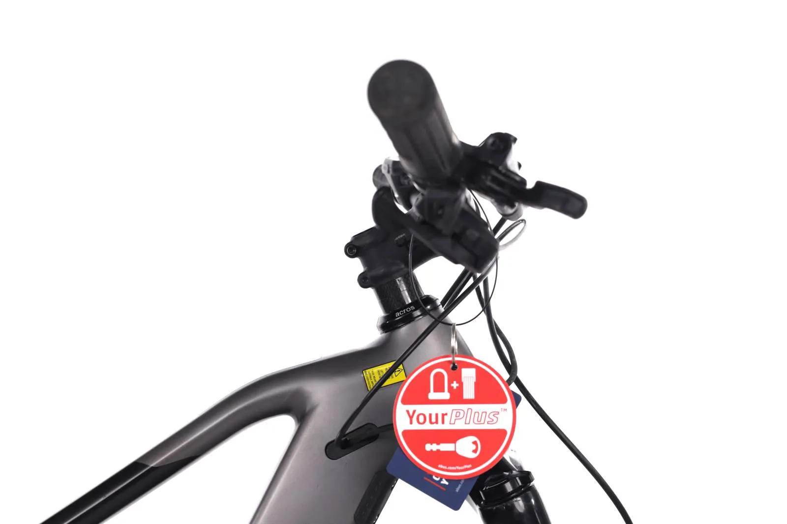 Orbea Wild 2022