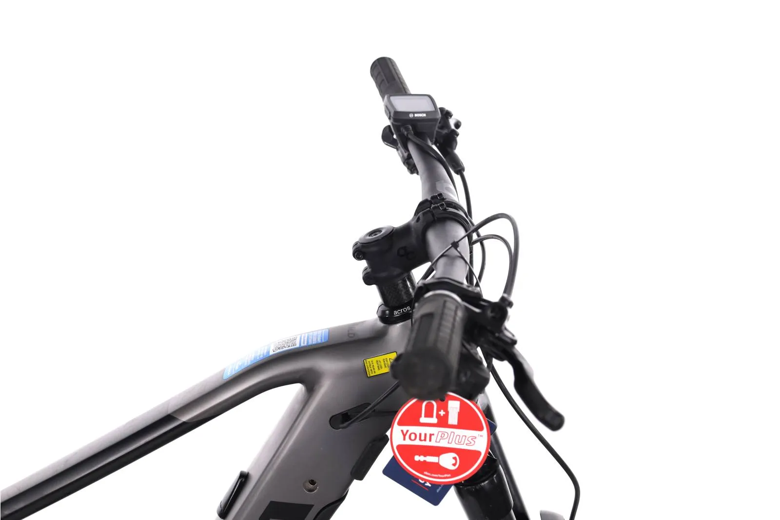Orbea Wild 2022