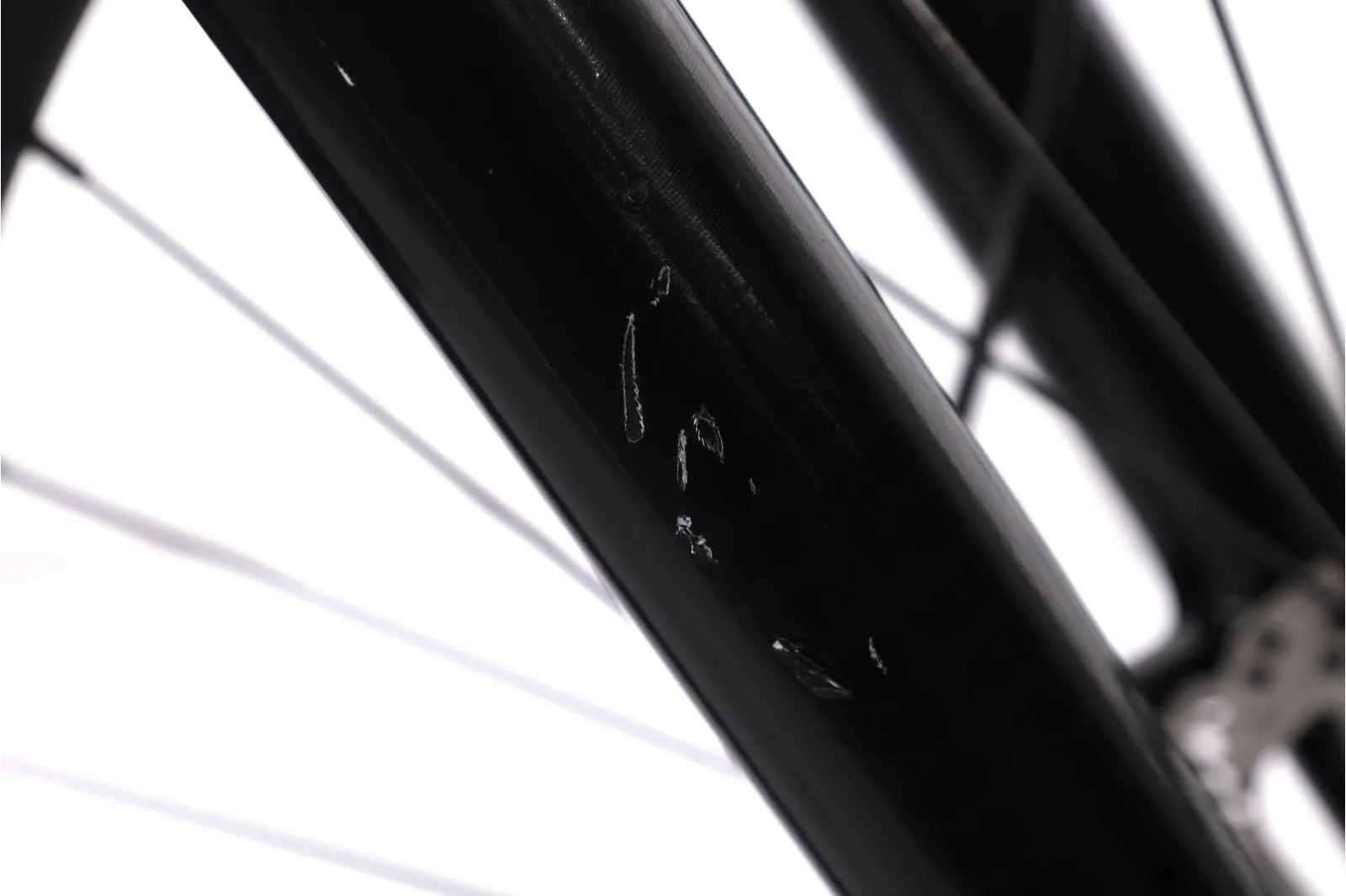 Orbea Wild 2022