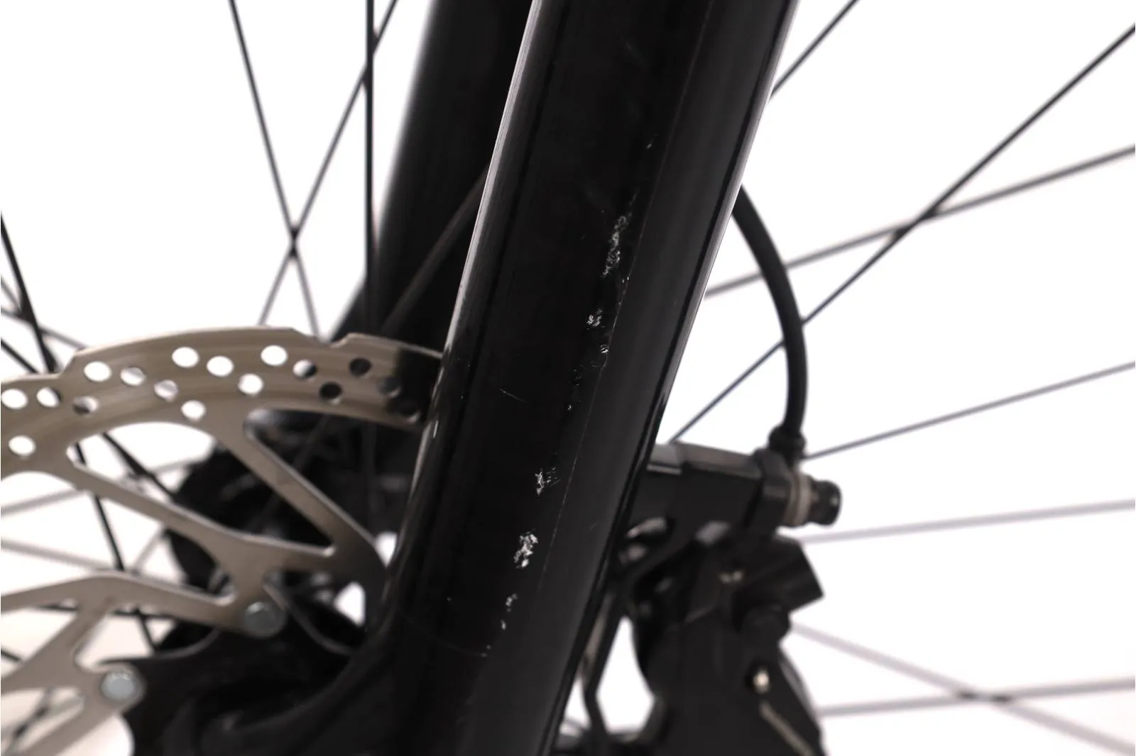 Orbea Wild 2022