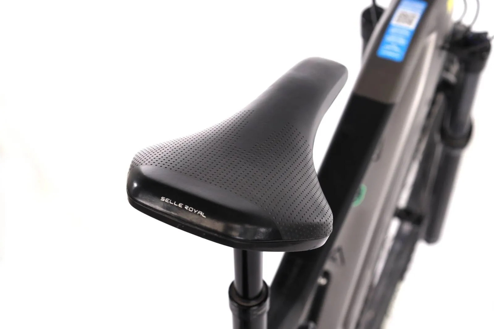 Orbea Wild 2022