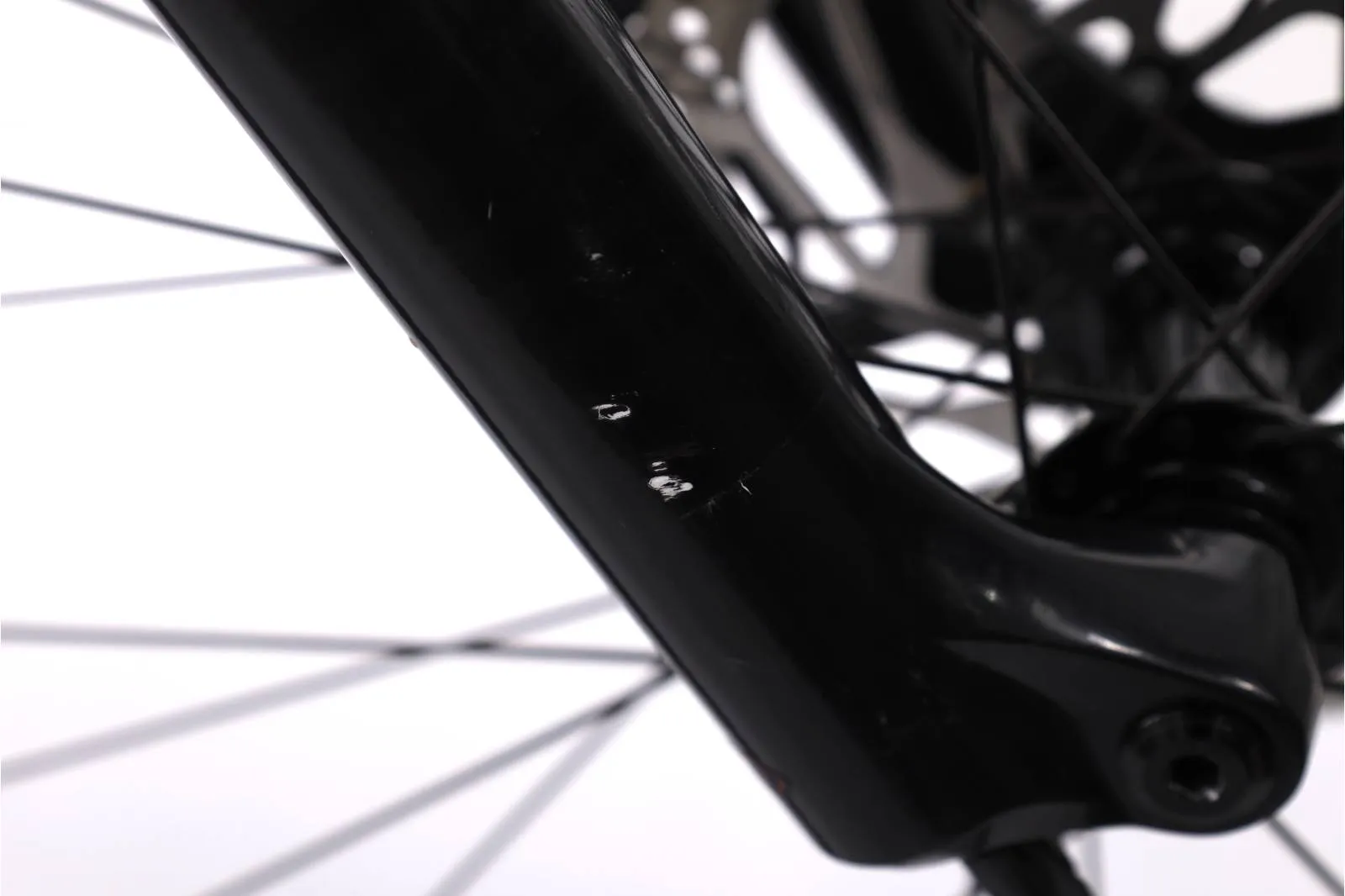 Orbea Wild 2022