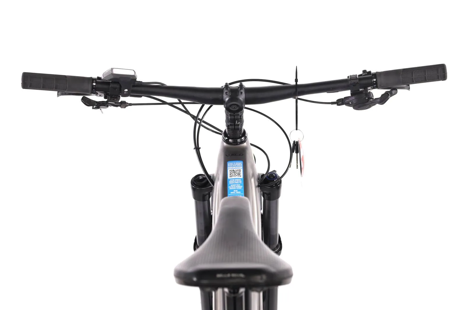 Orbea Wild 2022