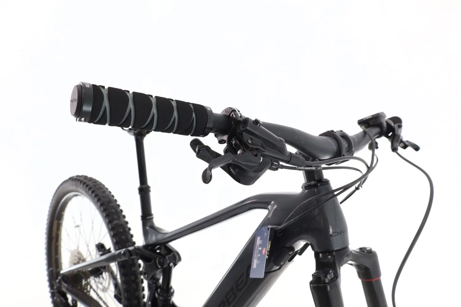 Orbea Wild 2022