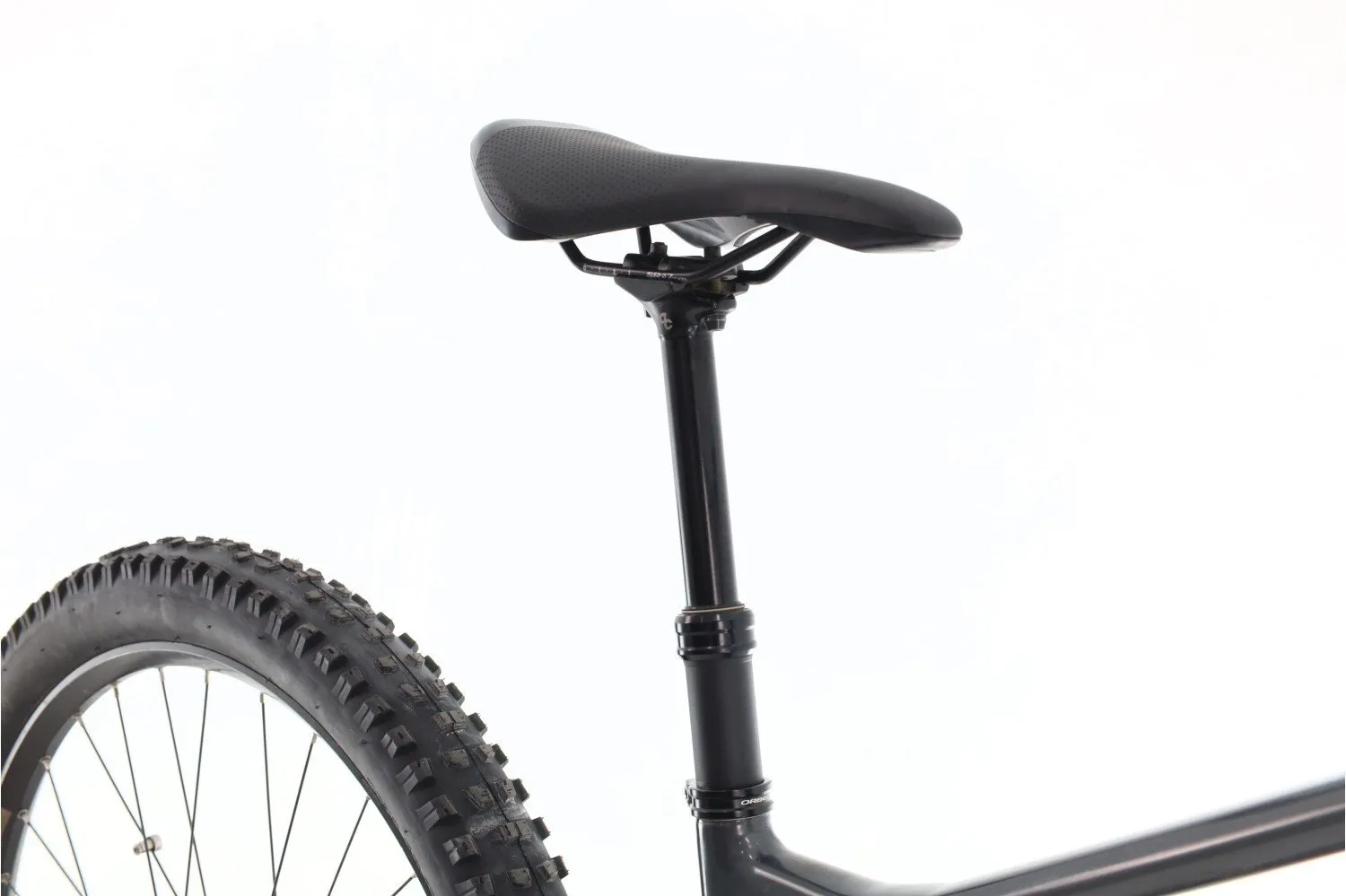 Orbea Wild 2022
