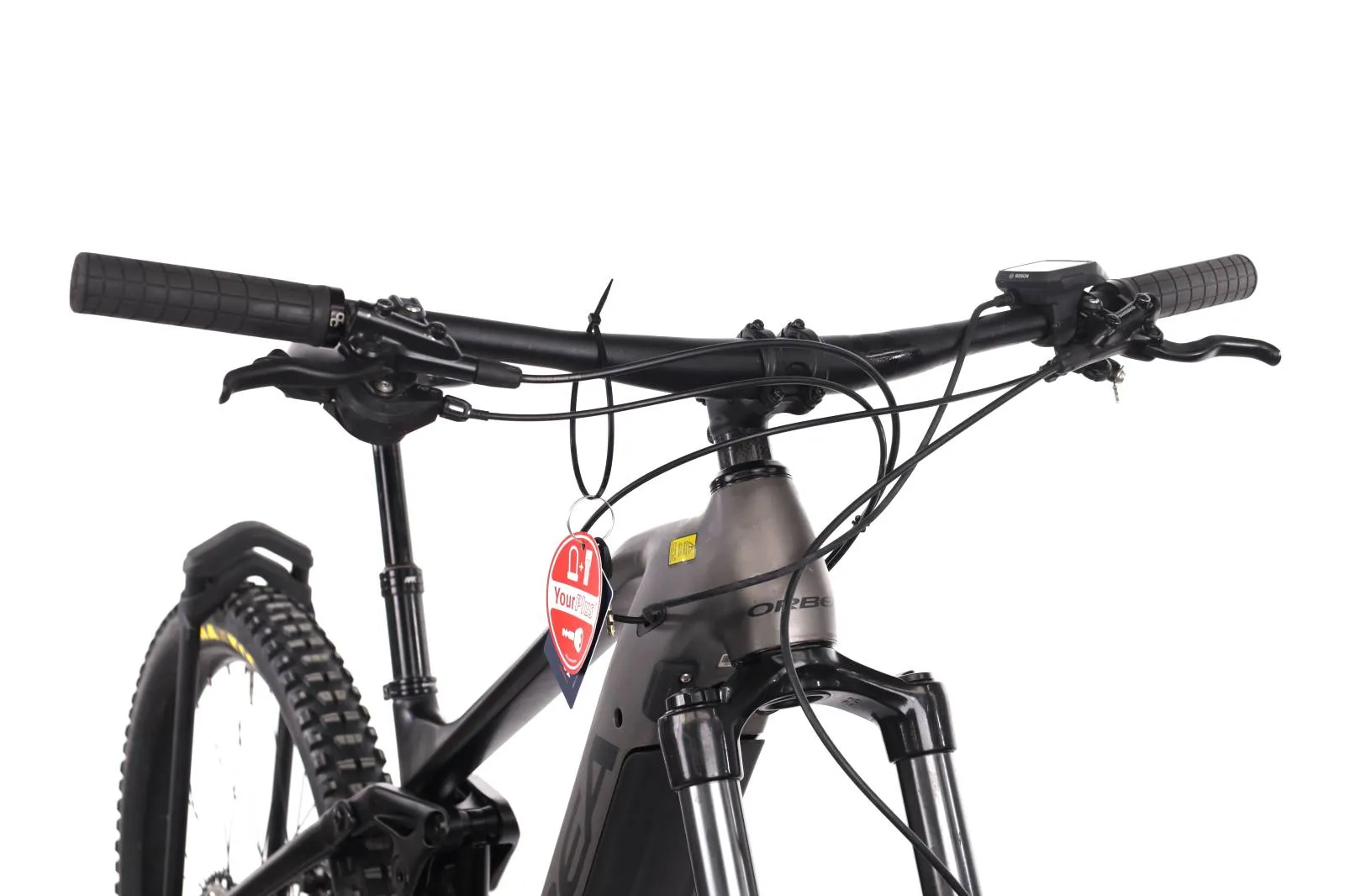 Orbea Wild 2022