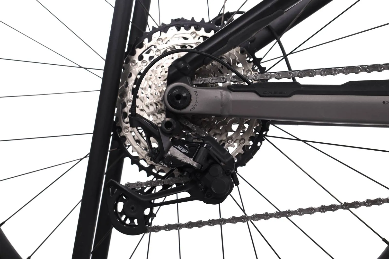 Orbea Wild 2022