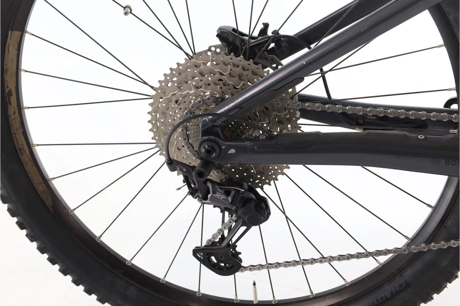 Orbea Wild 2022