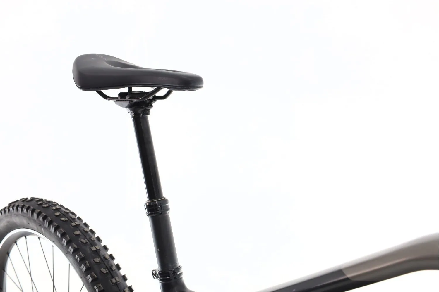 Orbea Wild H10 2022