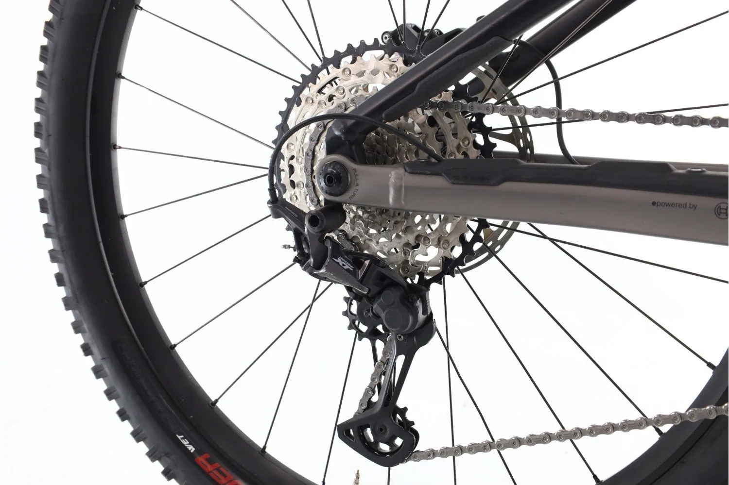 Orbea Wild H10 2022