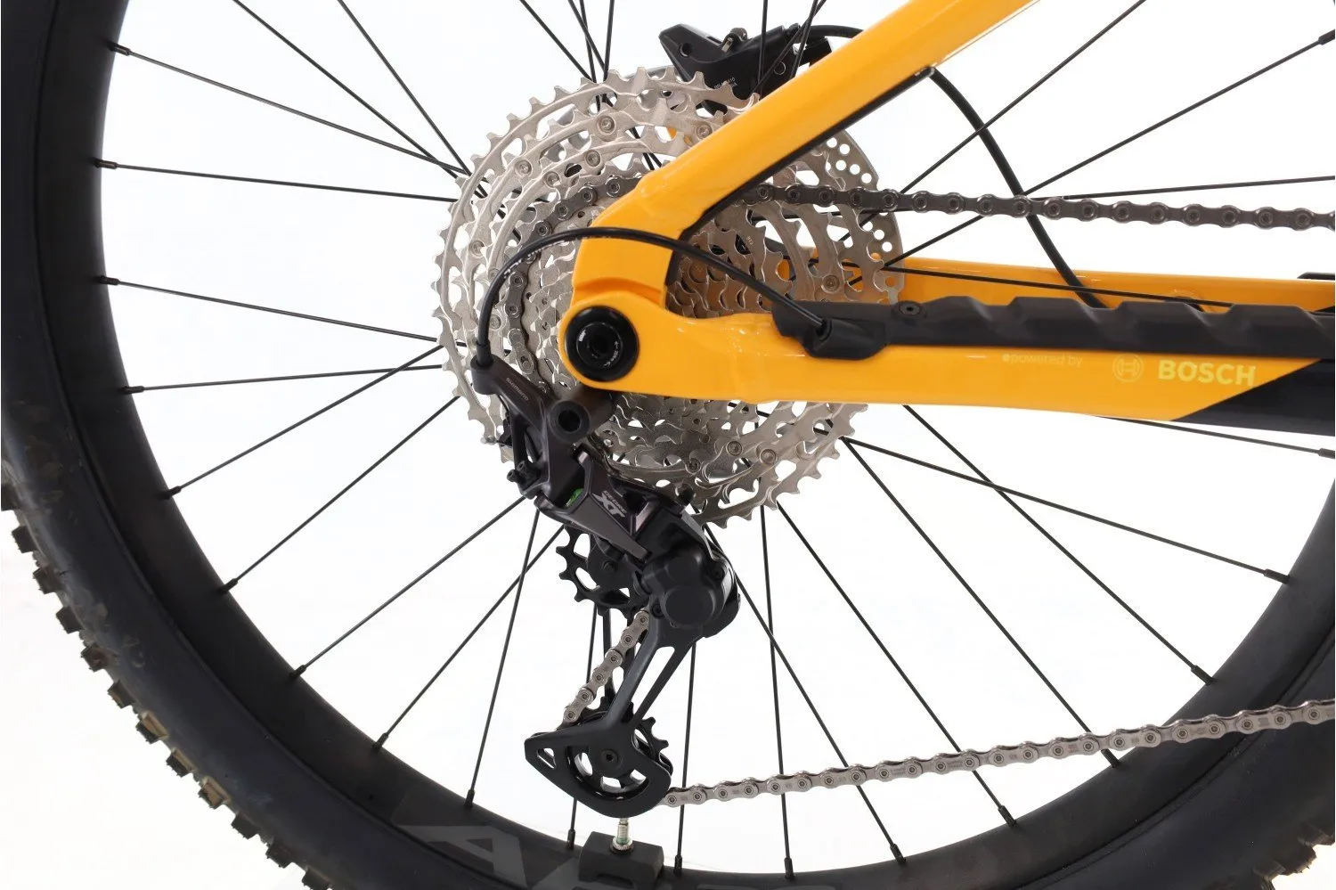 Orbea Wild H30 2023