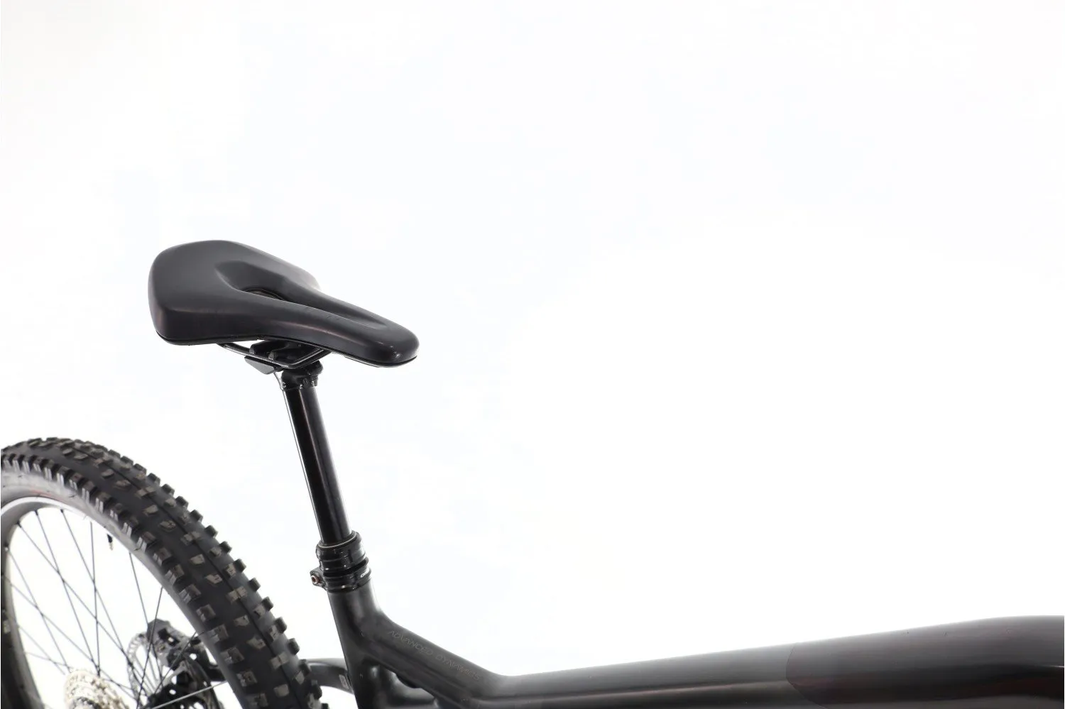 Orbea Wild M20 2022