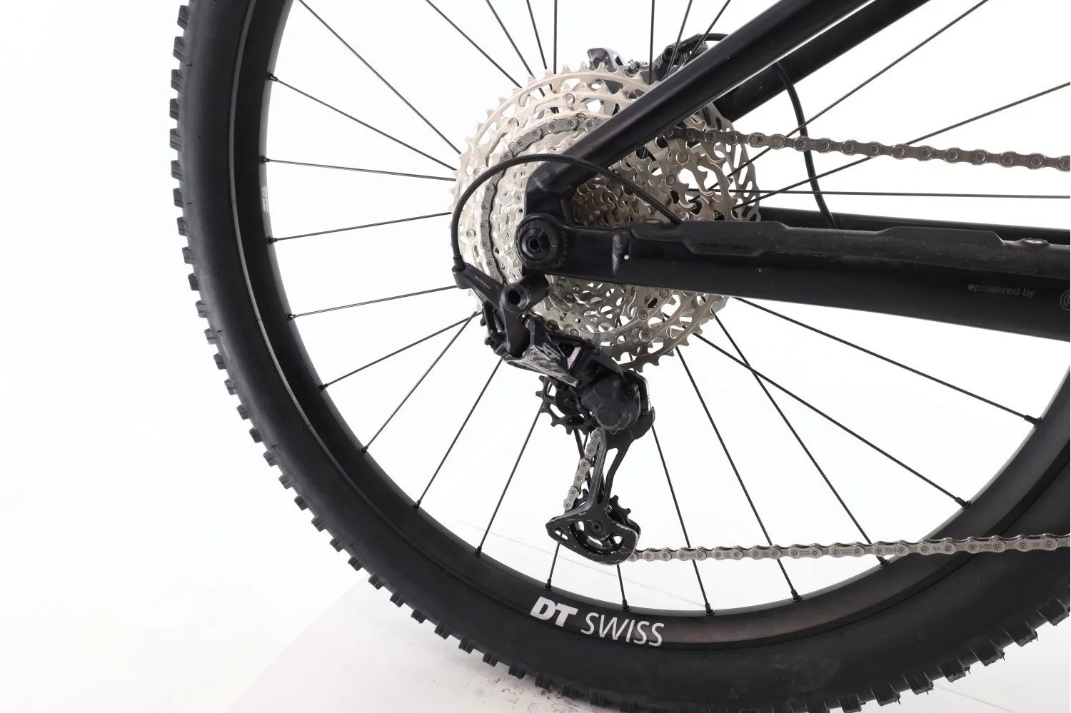 Orbea Wild M20 2022