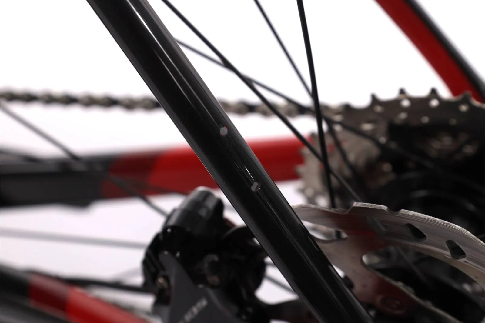 Trek Domane 2019