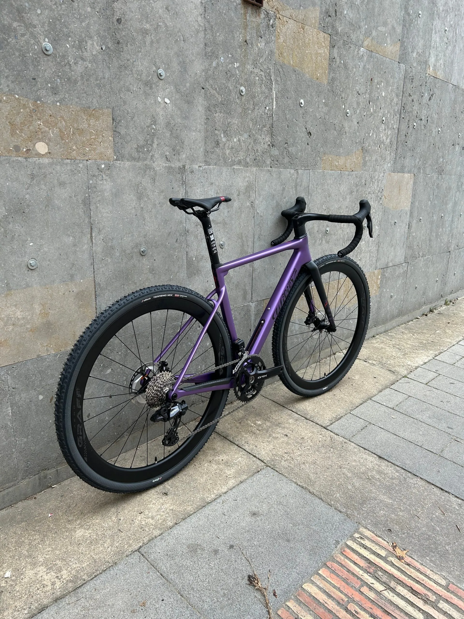 Wilier Rave SLR 2025 - Shimano GRX Di2 2x12sp - Miche Graff AERO 42